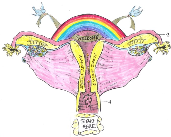 Fertility Comix: Imagination What I thought getting pregnant would be like.