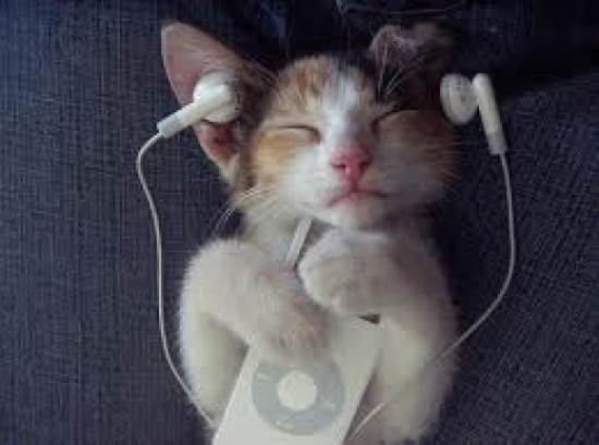 kitty listening